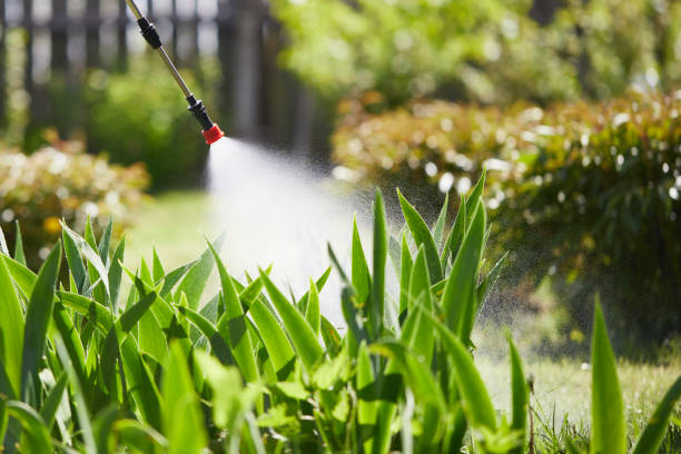 Tamper-Resistant Bait Stations for Rodents in Valrico
