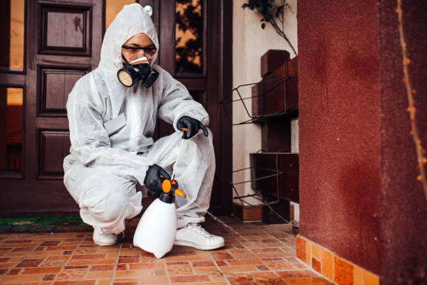 Attic and Crawl Space Rodent Treatment in Valrico